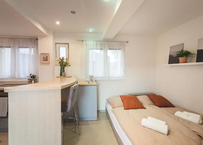 With An Old Town View * 布拉迪斯拉发